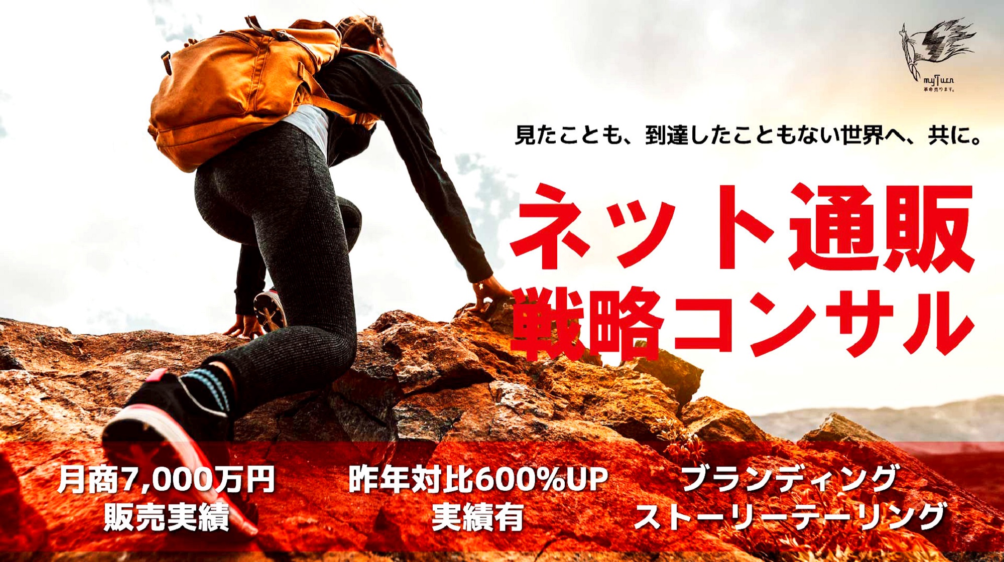 ネット通販戦略コンサルティング(セイジ塾)のイメージ画像