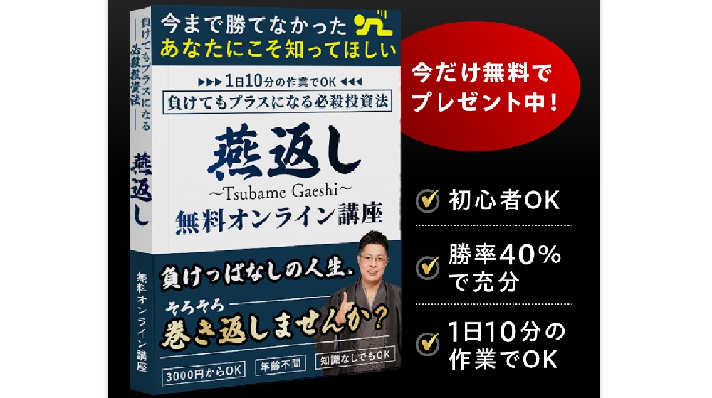 必殺投資法燕返しのイメージ画像