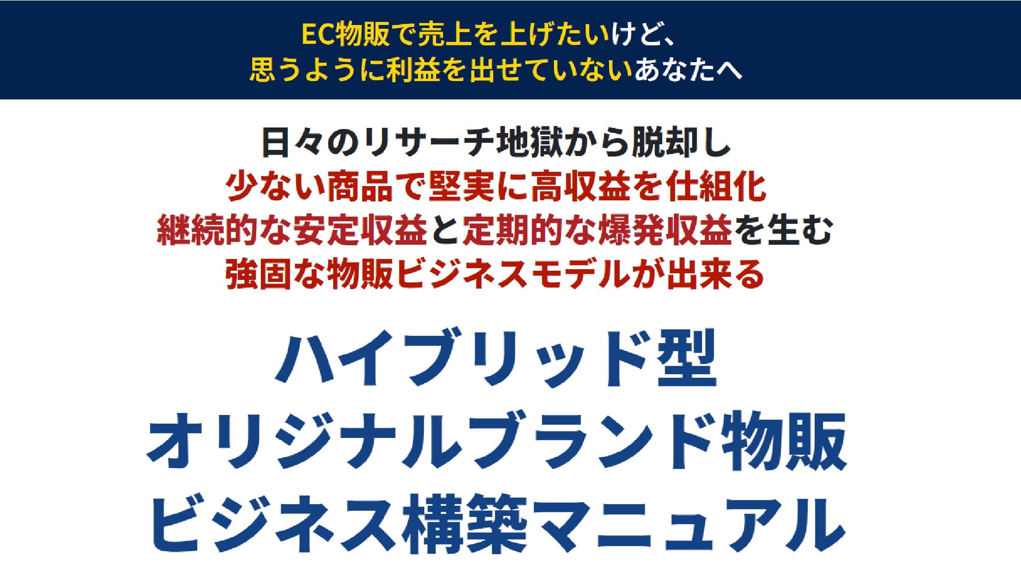 ハイブリッド型オリジナルブランド物販ビジネス構築マニュアルのイメージ画像