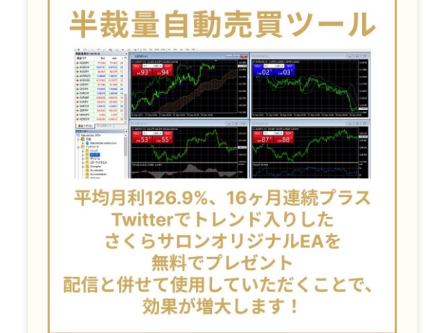 サイト内画像