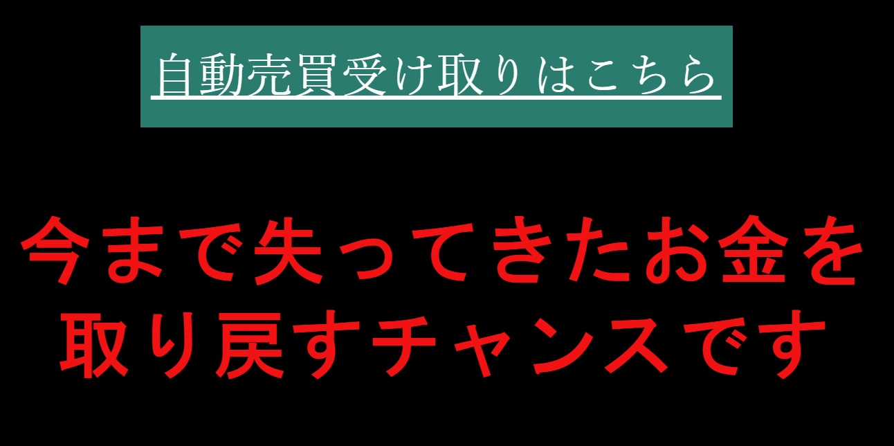 サイト内画像