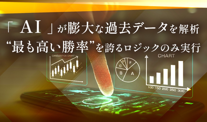サイト内画像