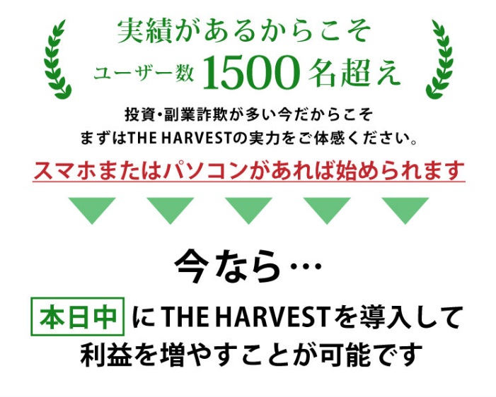サイト内画像